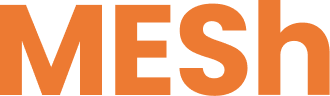 Mesh Brand Logo